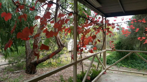 Padthaway Caravan Park - Accommodation Whitsundays 1