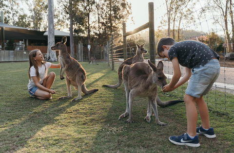Paradise Country Farmstay - Accommodation Whitsundays 1