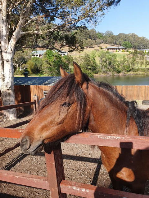 Park View Guest House - Accommodation Whitsundays 1