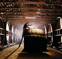 Pieter van Gent Winery  Vineyard - Accommodation Whitsundays