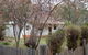 Pines Cottage - thumb 3