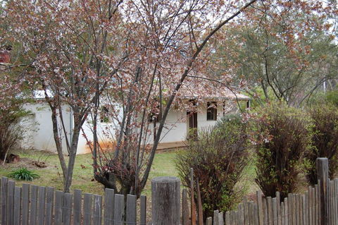 Pines Cottage - Accommodation Whitsundays 3