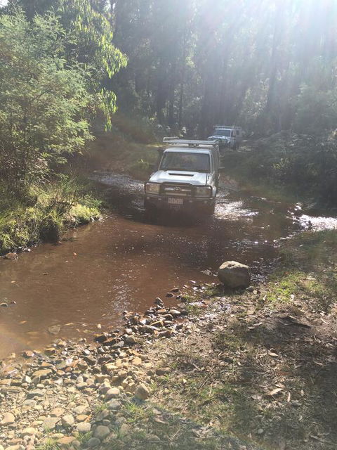 PNL 4WDriving Narbethong - Accommodation Whitsundays 3