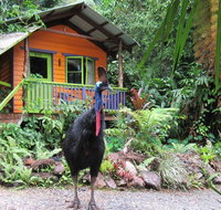 Rainforest Hideaway - Accommodation Whitsundays