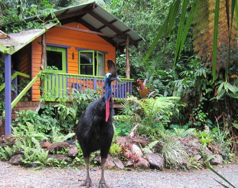 Rainforest Hideaway - Accommodation Whitsundays 0