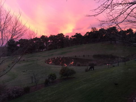 Raynella Alpaca Farmstay - Accommodation Whitsundays 1