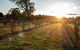 Riverview Farm & Guesthouse - thumb 3