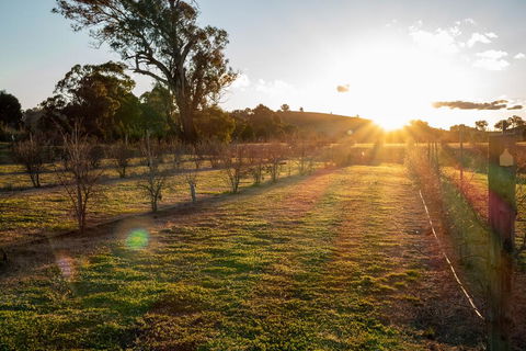 Riverview Farm & Guesthouse - Accommodation Whitsundays 3