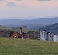 Rooks Edge - Accommodation Whitsundays