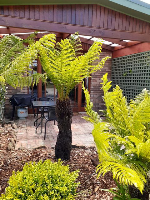 Sleepy Hollow Hideout (Hidout 2) - Accommodation Whitsundays 1
