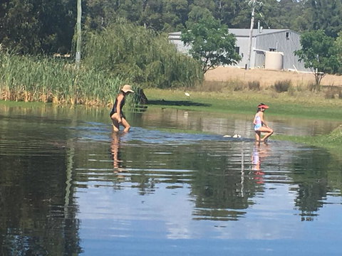 Something Different - Accommodation Whitsundays 1