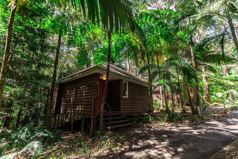 Songbirds Rainforest Retreat - Accommodation Whitsundays 2