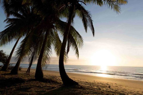 Spice At Oak Award Winning Luxury Absolute Oceanfront House Oak Beach Near Port Douglas - Accommodation Whitsundays 1
