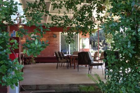 Sue's Sanctuary - Accommodation Whitsundays 1