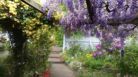 Birch Lane - Accommodation Whitsundays 20
