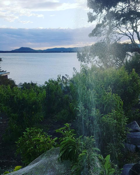 AppleBay Guest House - Accommodation Whitsundays 31