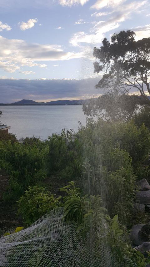 AppleBay Guest House - Accommodation Whitsundays 22
