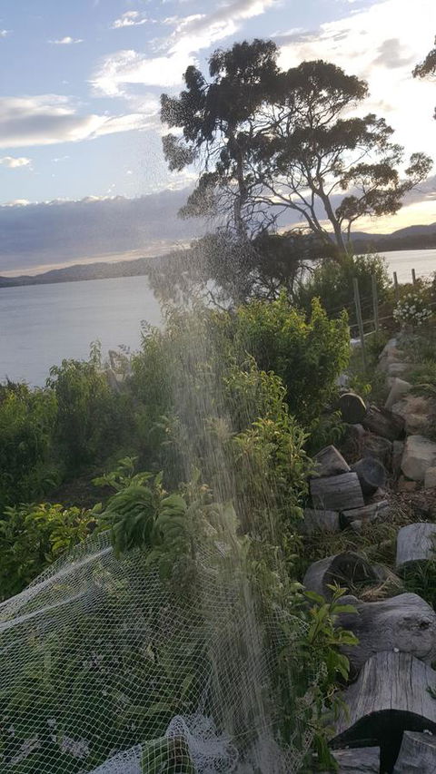 AppleBay Guest House - Accommodation Whitsundays 21