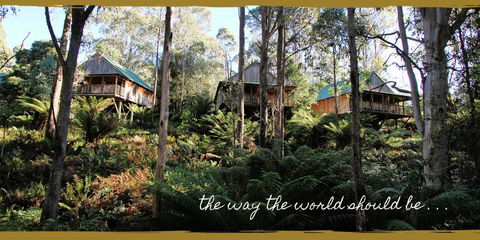 Lemonthyme Wilderness Retreat - Accommodation Whitsundays 20