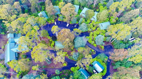 Lemonthyme Wilderness Retreat - Accommodation Whitsundays 1