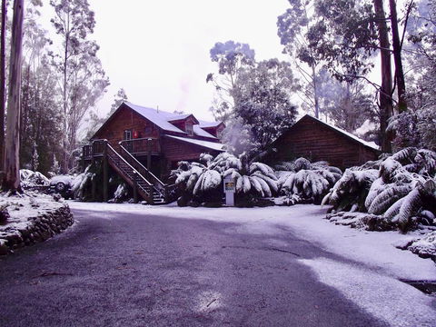 Lemonthyme Wilderness Retreat - Accommodation Whitsundays 12