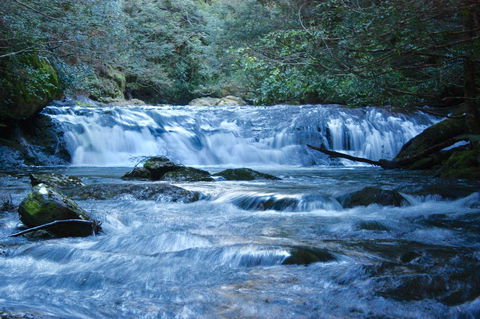 Lemonthyme Wilderness Retreat - Accommodation Whitsundays 10