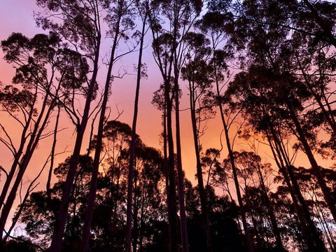 Lemonthyme Wilderness Retreat - Accommodation Whitsundays 8