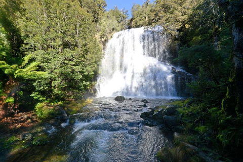 Lemonthyme Wilderness Retreat - Accommodation Whitsundays 19