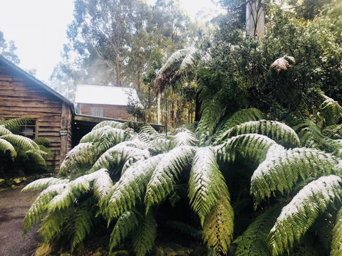 Lemonthyme Wilderness Retreat - Accommodation Whitsundays 5