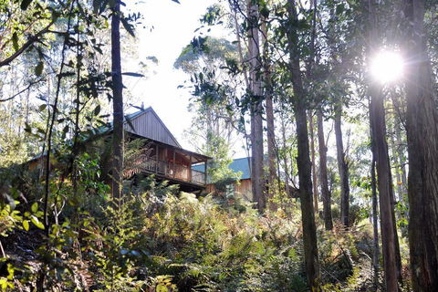 Lemonthyme Wilderness Retreat - Accommodation Whitsundays 25