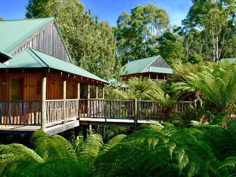 Lemonthyme Wilderness Retreat - Accommodation Whitsundays 11
