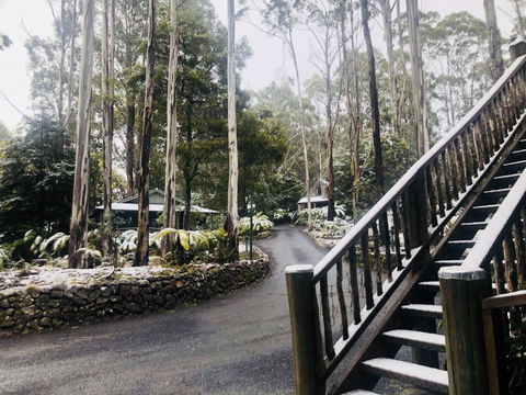 Lemonthyme Wilderness Retreat - Accommodation Whitsundays 15