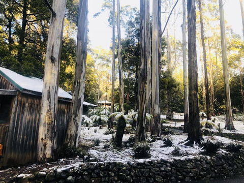 Lemonthyme Wilderness Retreat - Accommodation Whitsundays 6