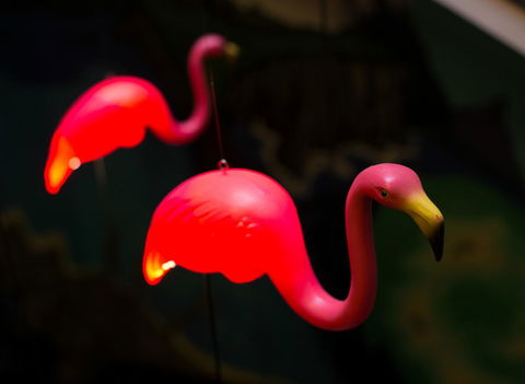 Alabama Hotel Hobart - Accommodation Whitsundays 42