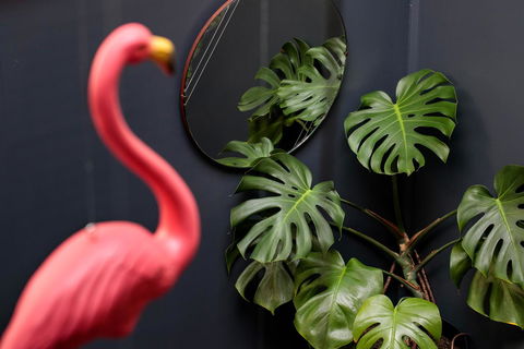 Alabama Hotel Hobart - Accommodation Whitsundays 15