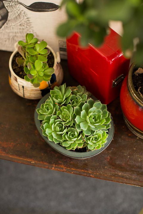 Alabama Hotel Hobart - Accommodation Whitsundays 39