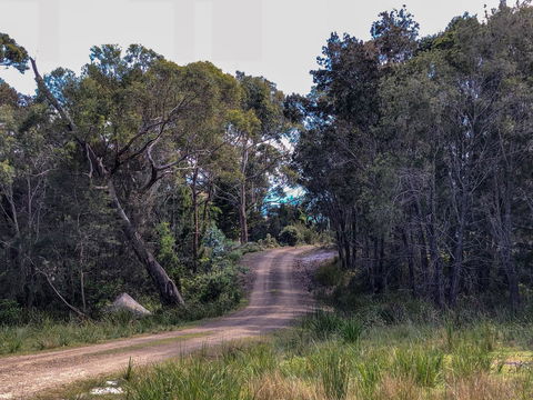 BAY OF FIRES ECO HUT Off Grid Experience At Binalong Bay - Accommodation Whitsundays 12