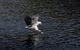 Arthur Riverfront And Sea Lodge Downstream - thumb 38