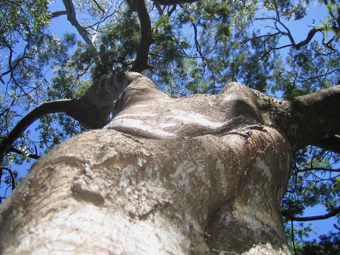 Arthur Riverfront And Sea Lodge Downstream - Accommodation Whitsundays 32