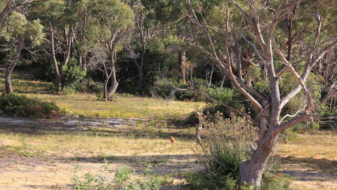 BAY OF FIRES SEACHANGE Ocean Frontage - Accommodation Whitsundays 12