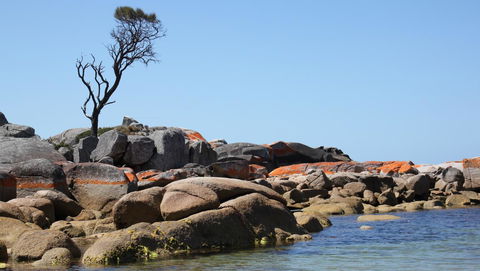 BAY OF FIRES SEACHANGE Ocean Frontage - Accommodation Whitsundays 21