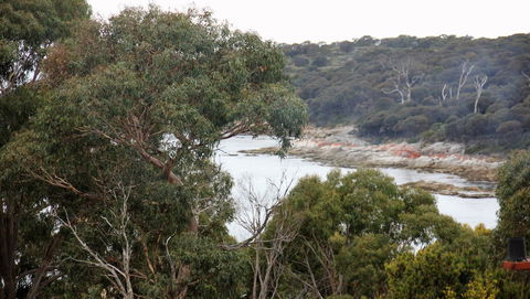 BAY OF FIRES SEACHANGE Ocean Frontage - Accommodation Whitsundays 15