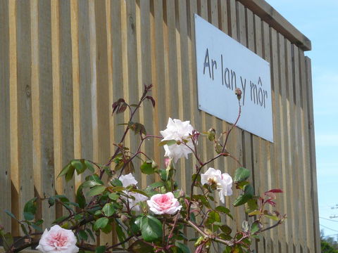 Ar Lan Y Mor - Accommodation Whitsundays 12