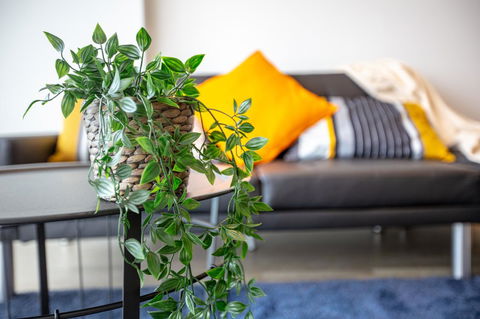 Brand New One/Two - Bed Room Apartment @ Maribyrnong - Accommodation Whitsundays 0