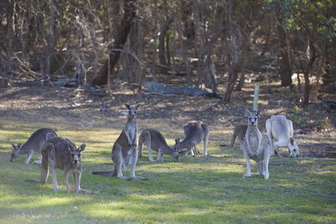 Yering Gorge Cottages - Accommodation Whitsundays 14