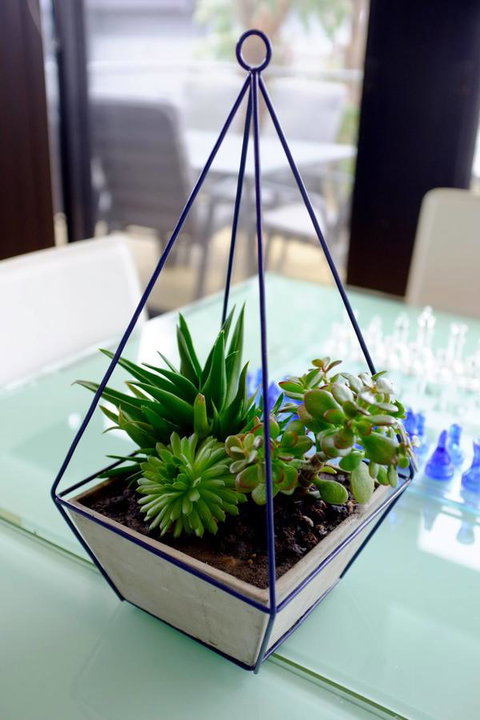 Ocean View Treetops Retreat - Accommodation Whitsundays 15