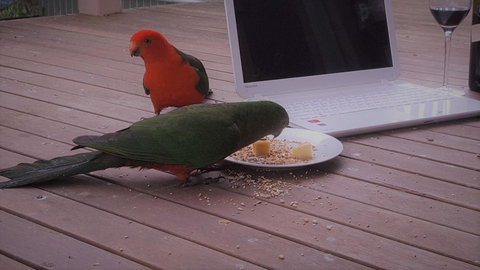 Wilsons Promontory Motel - Accommodation Whitsundays 12