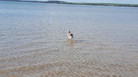 Wilsons Promontory Motel - Accommodation Whitsundays 35