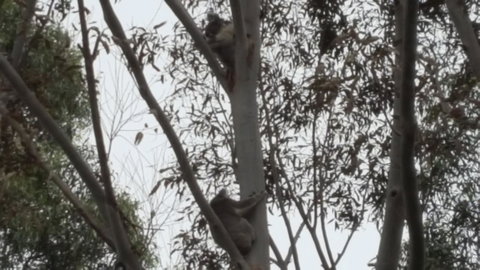 Wilsons Promontory Motel - Accommodation Whitsundays 28