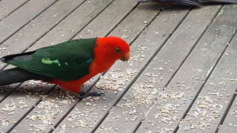 Wilsons Promontory Motel - Accommodation Whitsundays 27